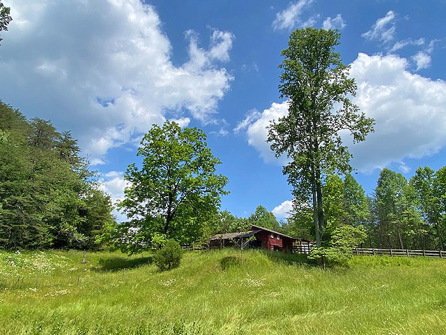 Dahlonega farmhouse for sale